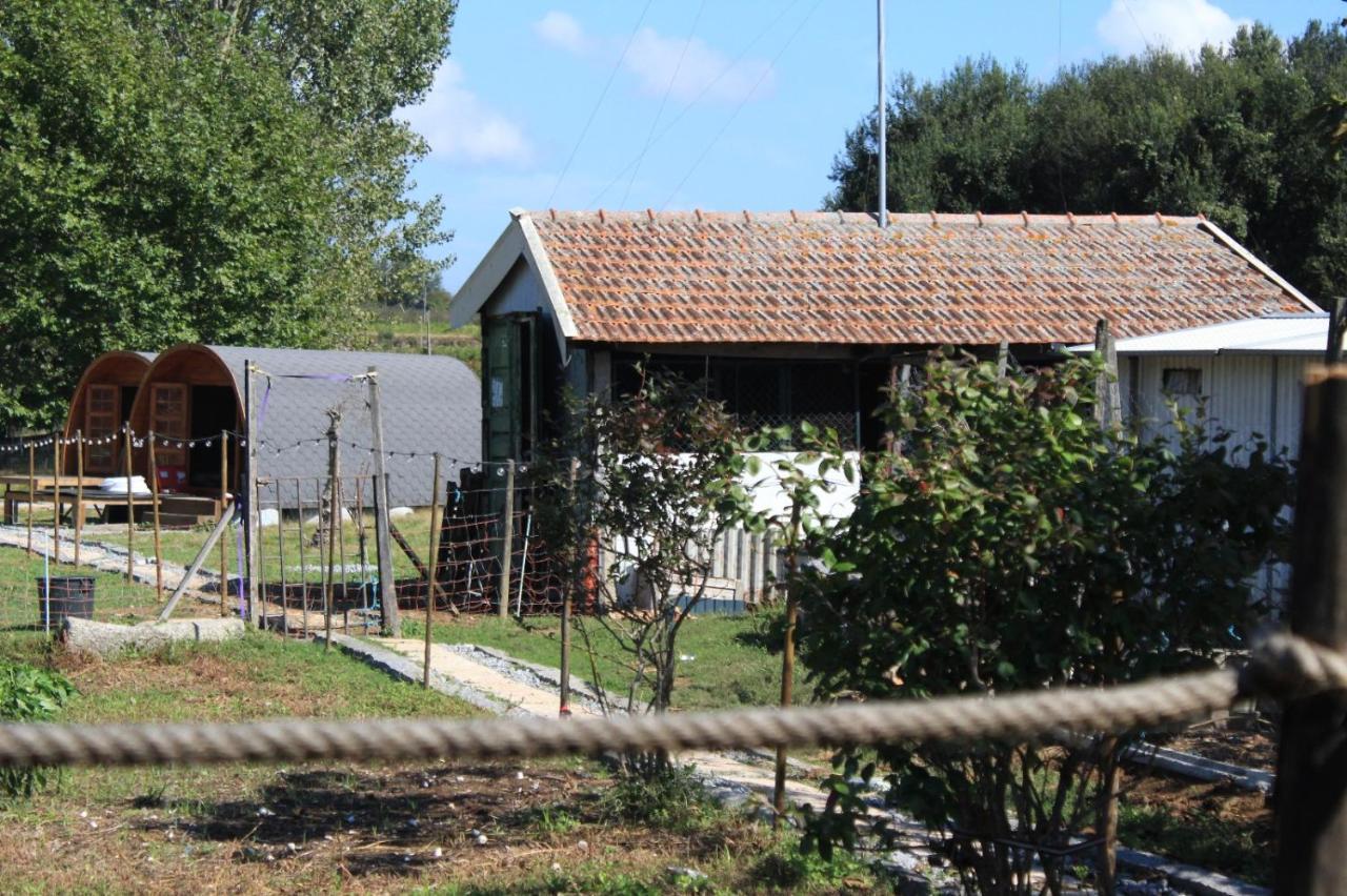 Hotel Casa Da Avo Miquinhas Pacos de Ferreira Zewnętrze zdjęcie