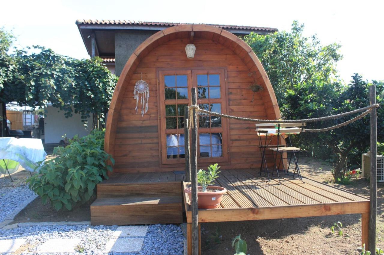 Hotel Casa Da Avo Miquinhas Pacos de Ferreira Zewnętrze zdjęcie